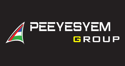 About PeeYesYem Group